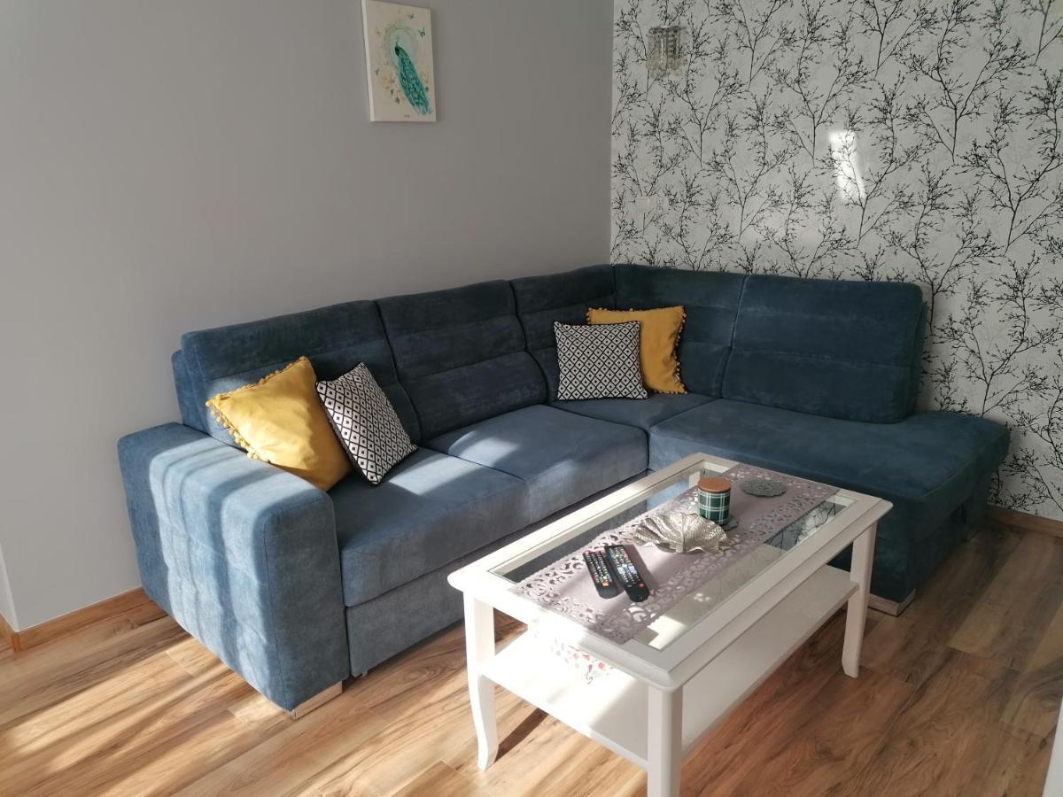 Apartament Kot I Pies ミエンジズドロイェ エクステリア 写真