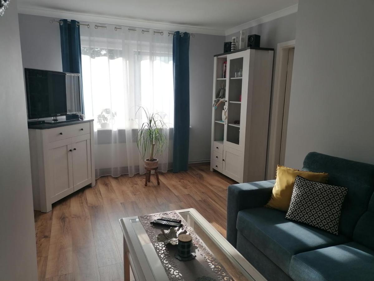 Apartament Kot I Pies ミエンジズドロイェ エクステリア 写真