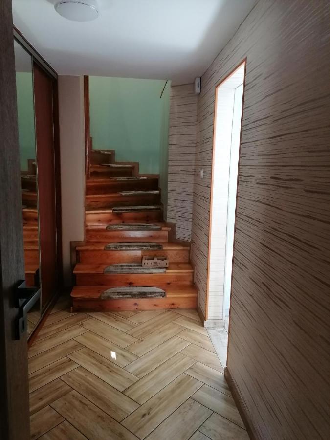 Apartament Kot I Pies ミエンジズドロイェ エクステリア 写真
