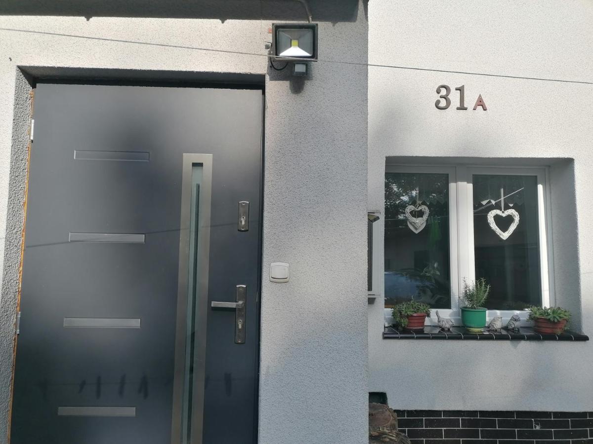 Apartament Kot I Pies ミエンジズドロイェ エクステリア 写真